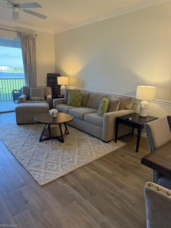 10370 Washingtonia Palm WAY 4325