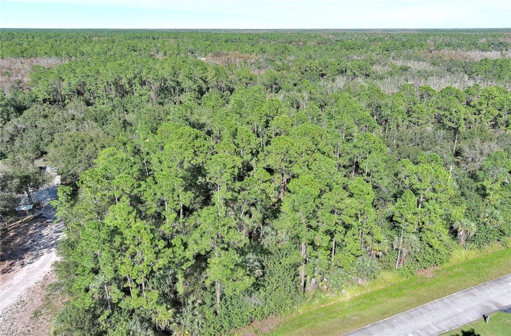 GOLDEN GATE ESTATES - Land