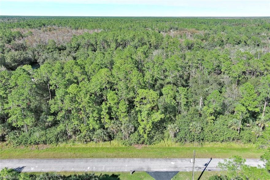 Build your dream home on this beautiful 1.14-acre vacant lot located in Naples! Situated in the desirable Golden Gate Estates, this spacious property gives the perfect blend of privacy, tranquility, and convenience. Enjoy plenty of room for a custom home, guest house, workshop, or outdoor living spaces—plus the freedom of no HOA restrictions. Surrounded by lush natural landscape and large estate-style properties, this lot provides a peaceful rural feel while still being just a short drive from shopping, dining, top-rated schools, and the stunning Gulf beaches. Whether you’re looking to build or invest, this expansive parcel presents an excellent opportunity in one of Naples’ fastest-growing areas.