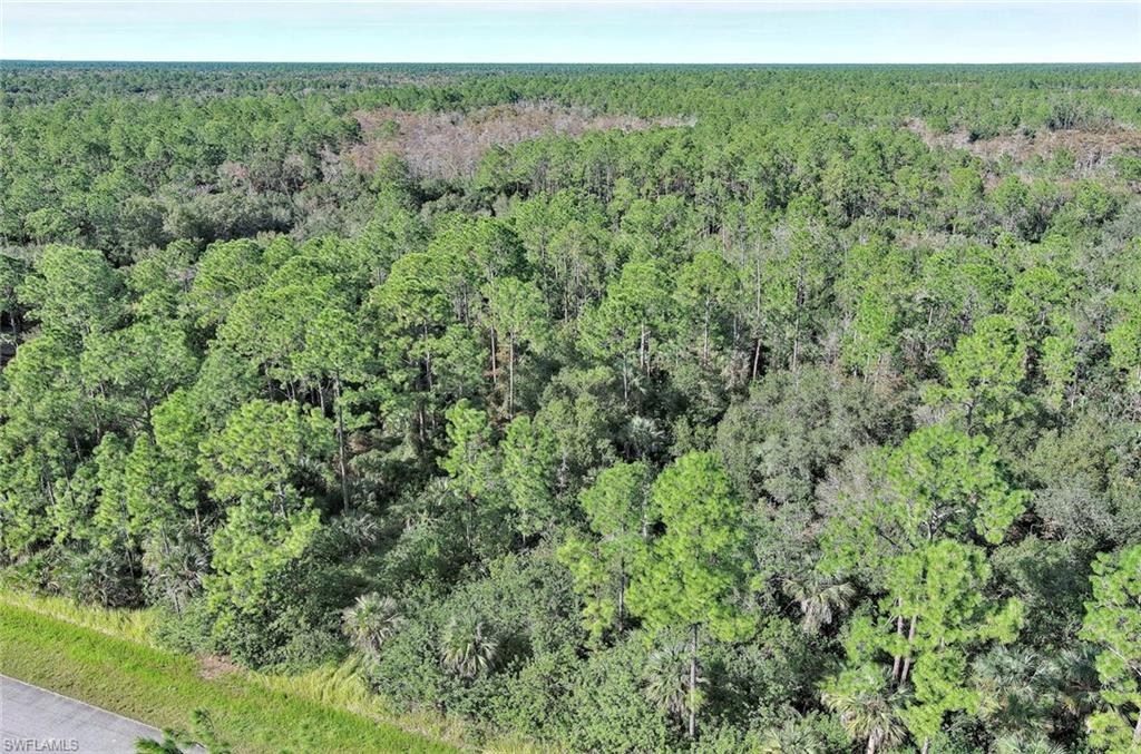 GOLDEN GATE ESTATES - Land