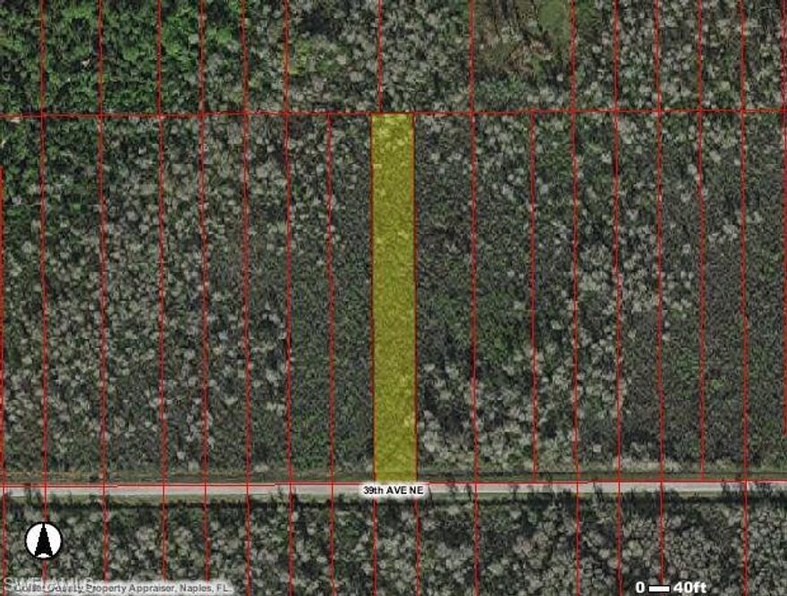 PRICE IS FIRM   SELLERS ARE VERY SLOW TO RESPOND  SO ALLOW PLENTY OF TIME       PRICED AS WETLAND  BASED ON MAP   WE DO NOT HAVE A WETLAND REPORT