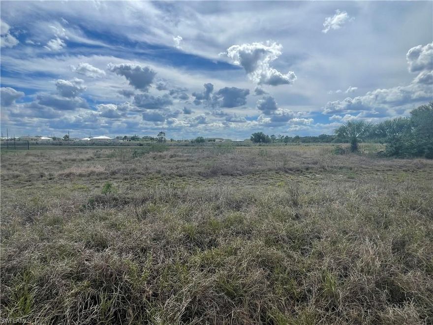 This is a great opportunity to own Vacant land for your future home! In the area of new builder homes. Central Water and Electric is in the area and will require hook up and a septic tank. With easy access to Fort Myers, Clewiston and the East Coast. Invest in your tomorrow today! Call today before this one is gone!