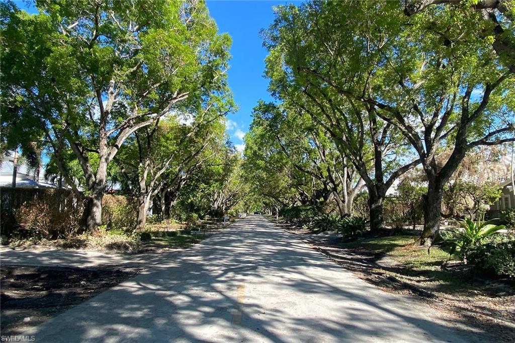 OLDE NAPLES - Residential