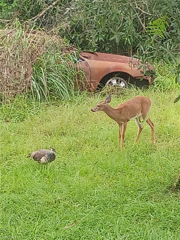 GOLDEN GATE ESTATES - Land