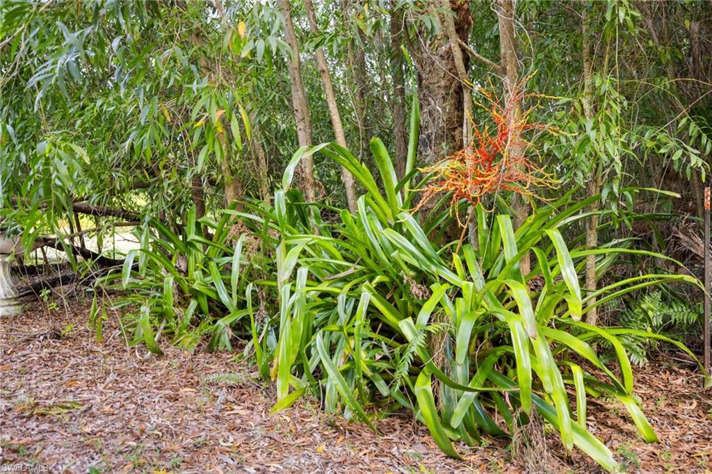 GOLDEN GATE ESTATES - Land