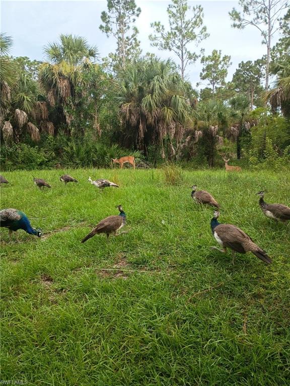 GOLDEN GATE ESTATES - Land