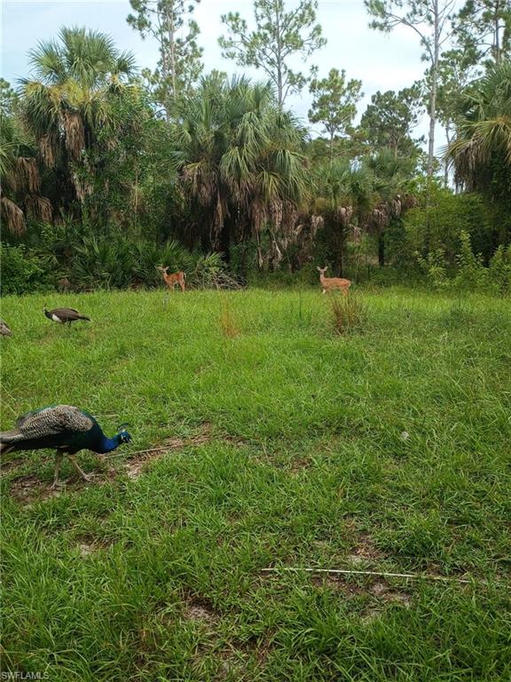 GOLDEN GATE ESTATES - Land