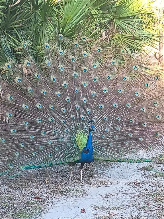 GOLDEN GATE ESTATES - Land