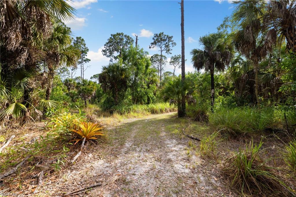 GOLDEN GATE ESTATES - Land