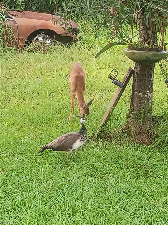 GOLDEN GATE ESTATES - Land