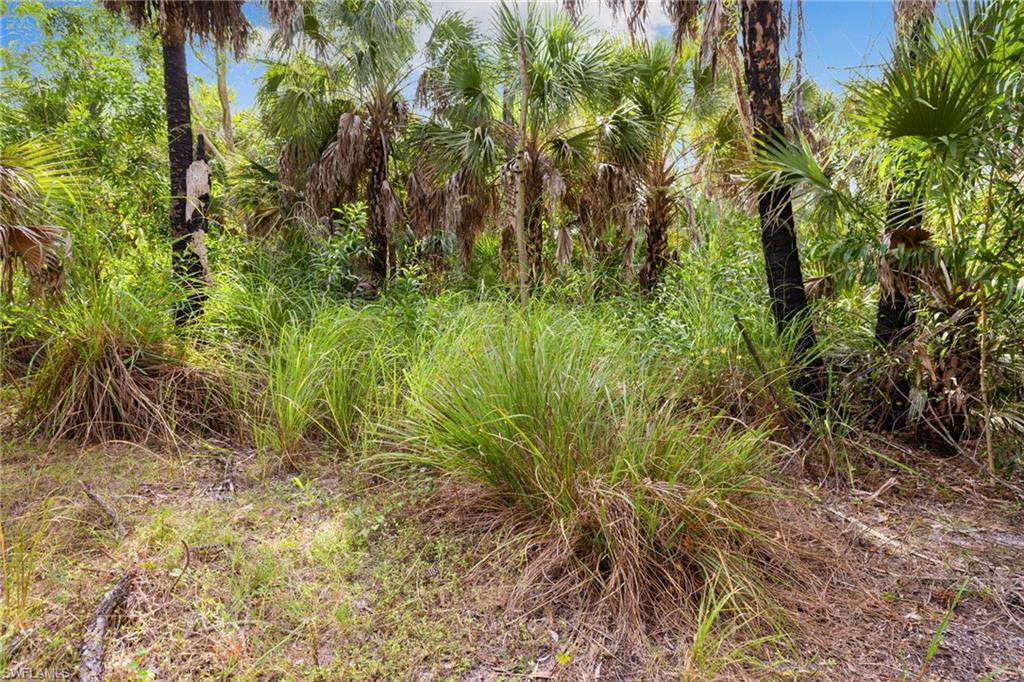 GOLDEN GATE ESTATES - Land