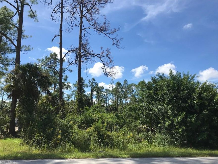 Enjoy the peaceful, country lifestyle of Golden Gate Estates, just minutes from the splendor and beautiful beaches of Naples, Florida. Build the home of your dreams on this wonderful 1.14 acre partially wooded lot. Zoning allows 2 horses per acre. Attached DEP Wetland Determination from 2006 indicates property is 100% Uplands.