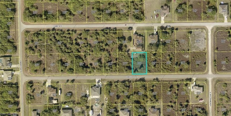 Located in the fast growing South Lehigh Acres area. This 1/4 acre vacant lot is the perfect place to build your dream home on. It's a quick drive out SR 82 to I-75 and Fort Myers. The Daniels Blvd corridor has shopping, grocery stores, restaurants, everything you need!  The property to the West is also For Sale with the same agent and owner.