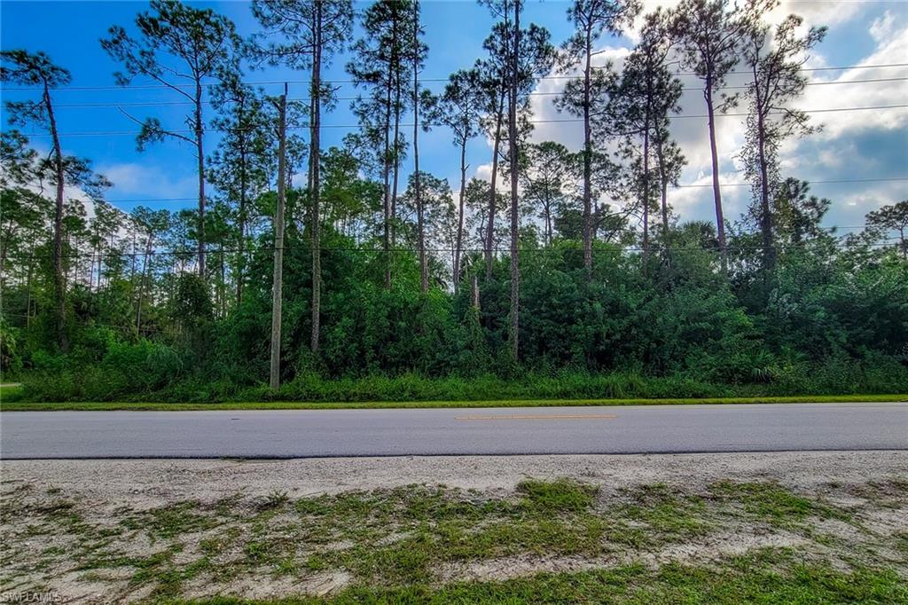 GOLDEN GATE ESTATES - Land