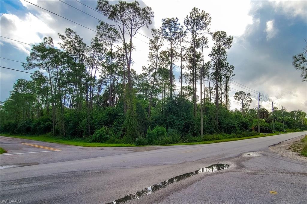 GOLDEN GATE ESTATES - Land