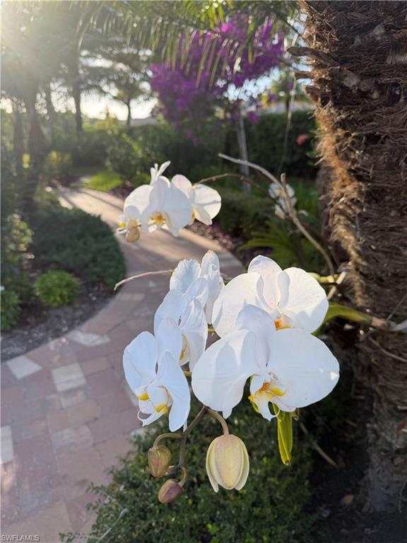 CORSICA - Residential