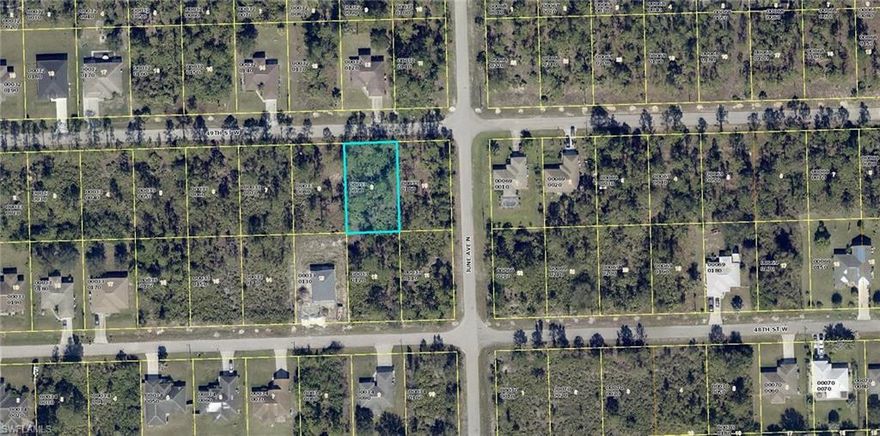 Priced to sell- vacant land in an great area. The popular west side of Lehigh which is close to shopping and schools.
Thirty minutes to the airport and anything else you may need.