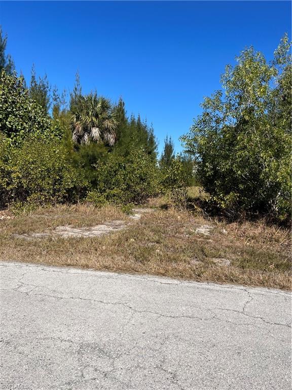 PINE ISLAND TROPICAL HOMESITES - Land