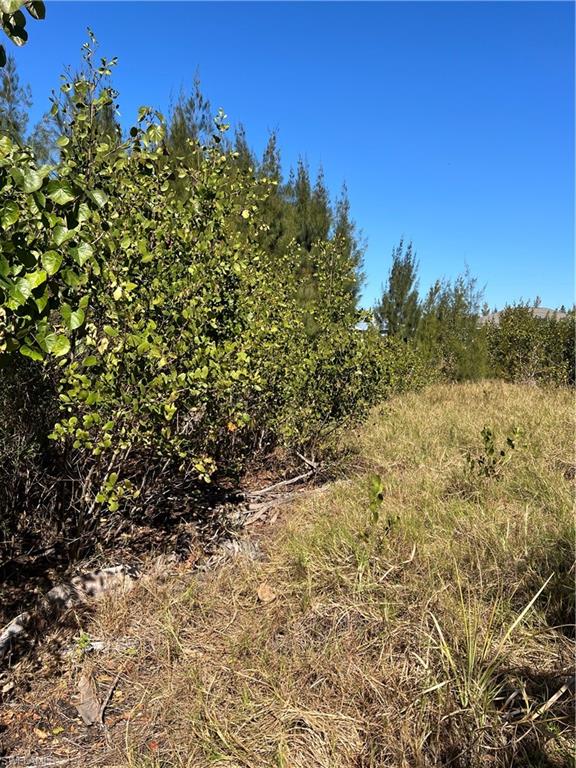 PINE ISLAND TROPICAL HOMESITES - Land