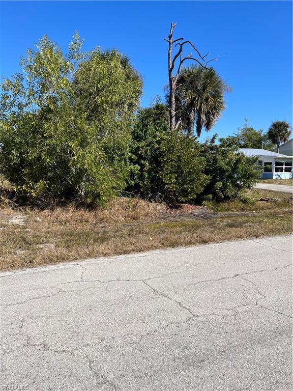 PINE ISLAND TROPICAL HOMESITES - Land