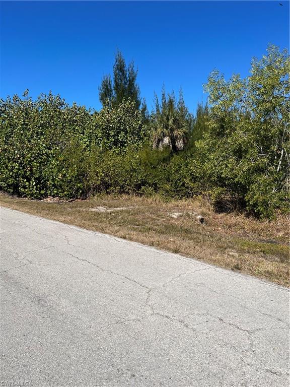 PINE ISLAND TROPICAL HOMESITES - Land