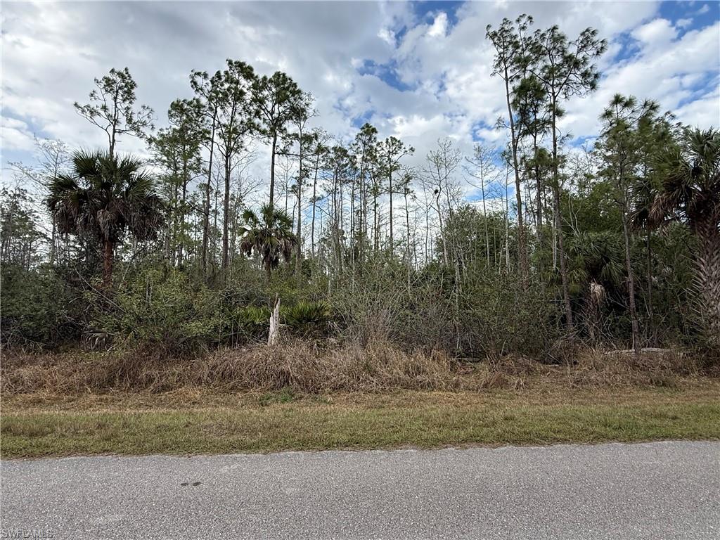 GOLDEN GATE ESTATES - Land