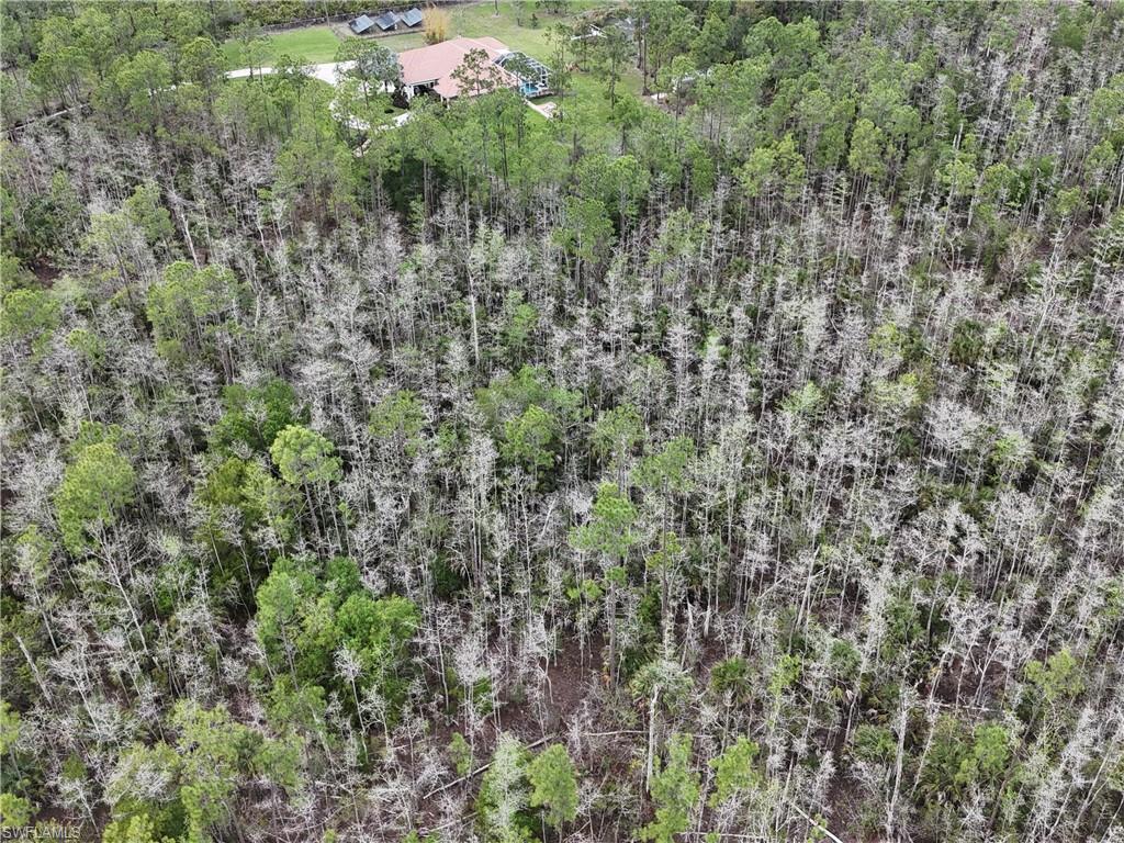 GOLDEN GATE ESTATES - Land