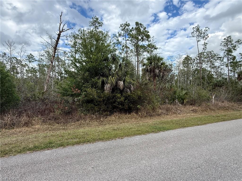 GOLDEN GATE ESTATES - Land