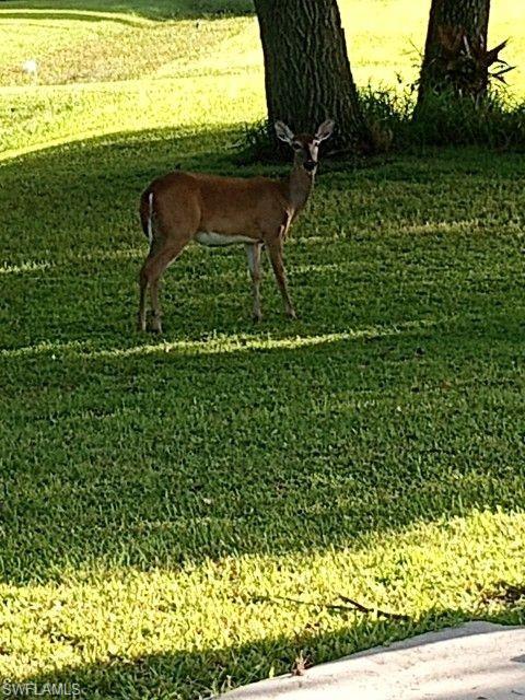 LAKEPORT - Residential