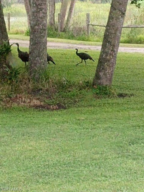 LAKEPORT - Residential