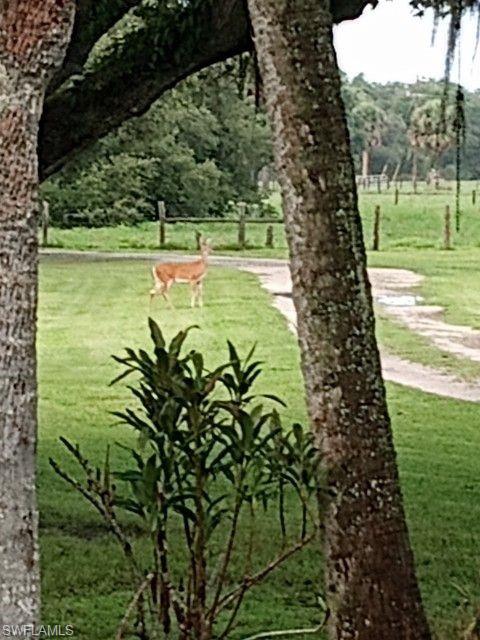 LAKEPORT - Residential