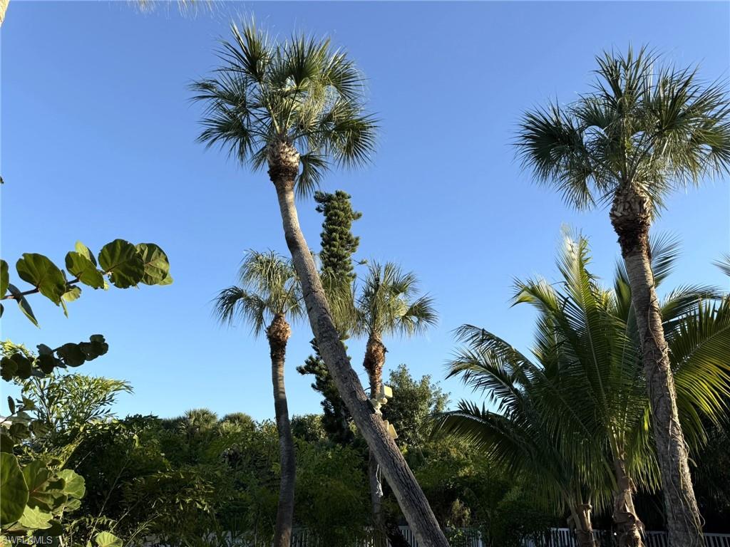 CAPTIVA PALMA UNRECORDED SUBDIVISION - Residential