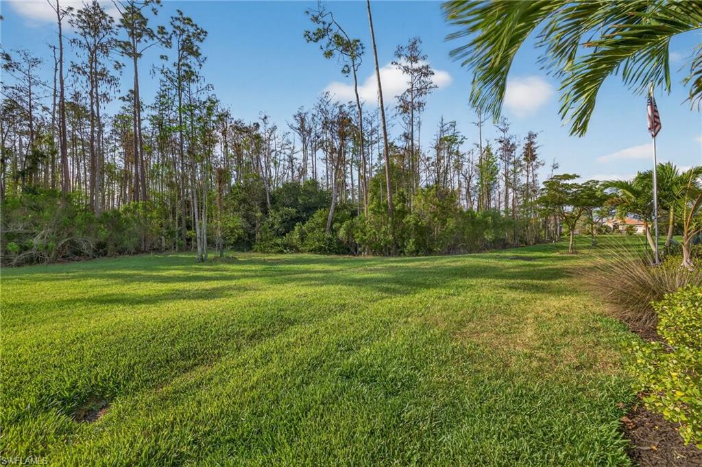 PRATO AT PELICAN PRESERVE - Residential