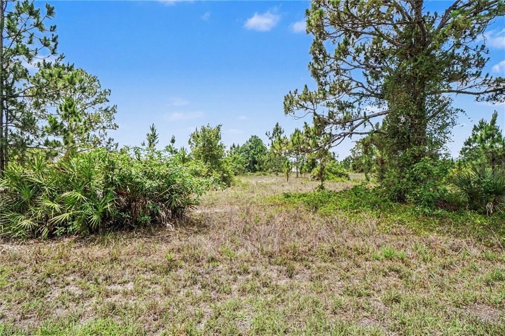 LEHIGH ACRES - Land