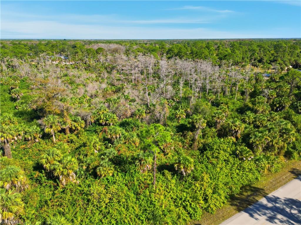 GOLDEN GATE ESTATES - Land