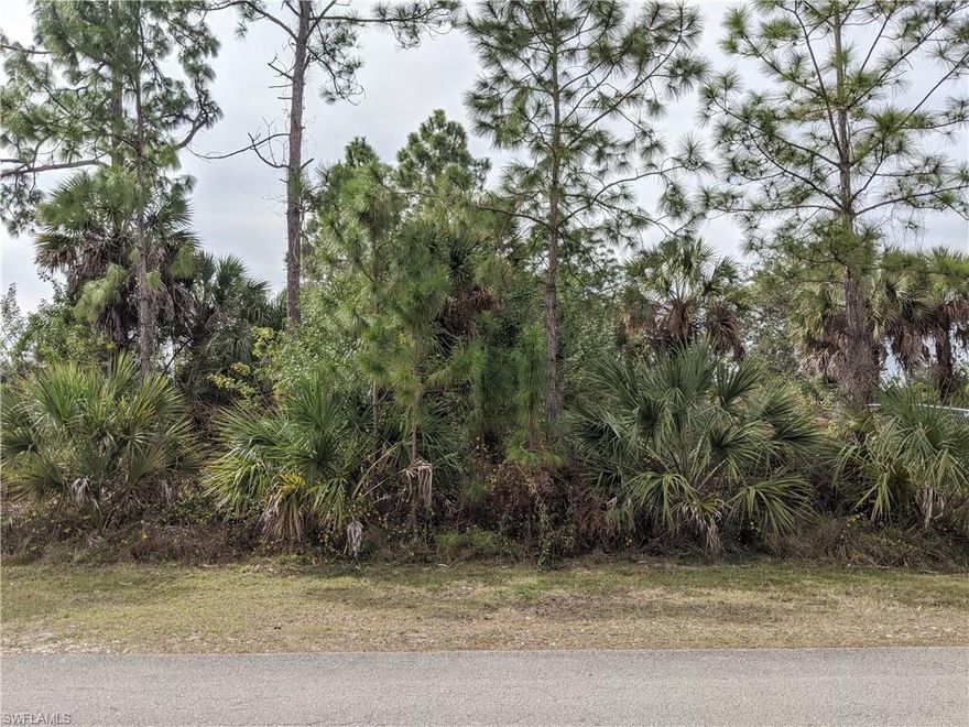 Beautiful Lot on a Quiet street. Flood zone X, high and dry!