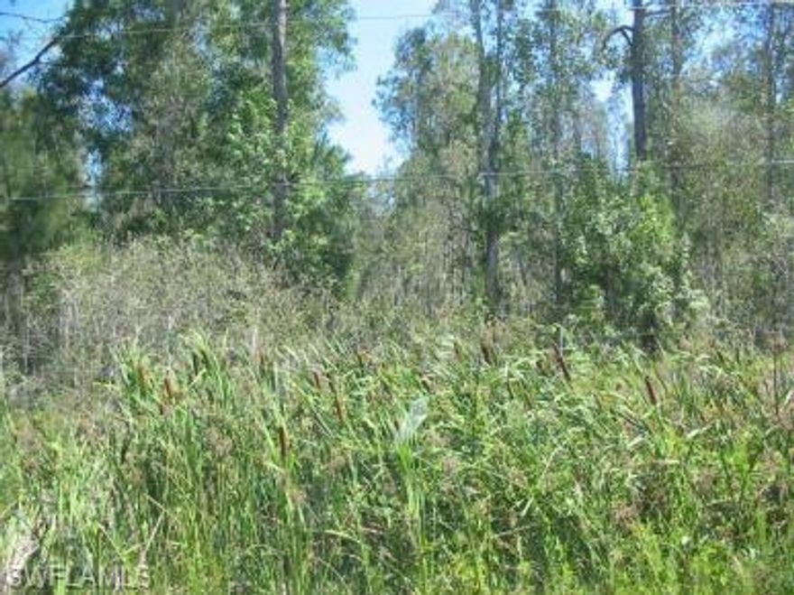 Outstanding Fort Myers location - West of I-75, lovely well maintained homes on large lots ranging up to $485K 
in value.  No/Zero Community or Association fees!  Feel free to drive through this community today!  Build your Dream home today!  Call today for more details!