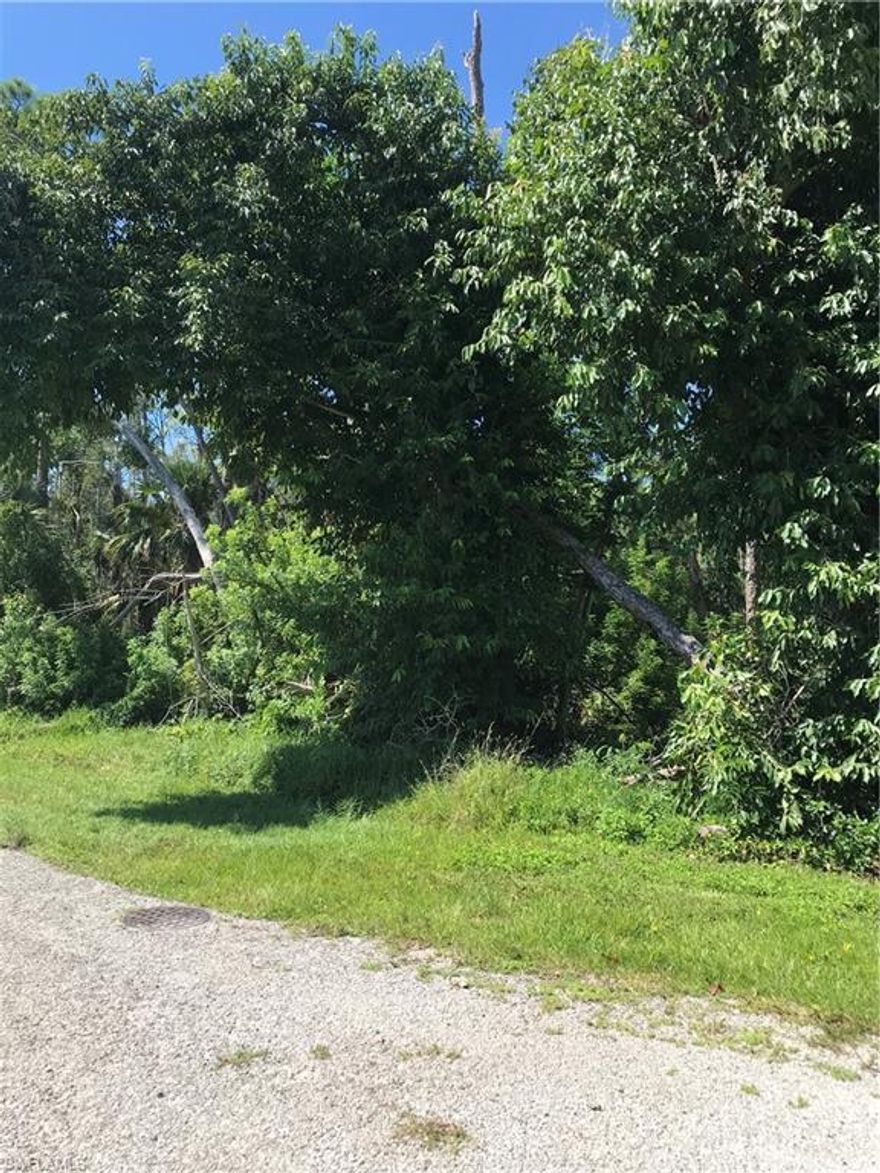 Great lot is now available and is located off Bayshore DR in Naples. Naples Bayshore area is one of the newest up-and-coming areas. The area is starting to be referred to as the Bayshore Art’s District which is within the Naples Bayshore Community Redevelopment Agency (CRA). Bike, walk, or drive to the nearby Botanical Gardens, Sugden Park, and Bayview Park with boat launch. Exciting changes are happening and soon you will be able to enjoy a Food Truck park and Microbrewery on Bayshore Dr. Enjoy shopping, dining, and entertainment on downtown Fifth Avenue South and Third Street South in Old Naples, approximately three miles away, along with the pier and white, powdered-sand beaches that have made Naples famous. Whether you intend to build now or later don’t miss your chance to be part of this blossoming community. The lot adjacent to this one is also For Sale.