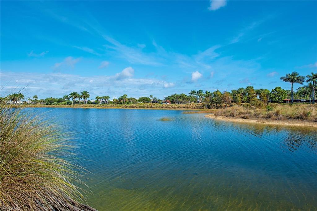 ISLES OF COLLIER PRESERVE - Residential