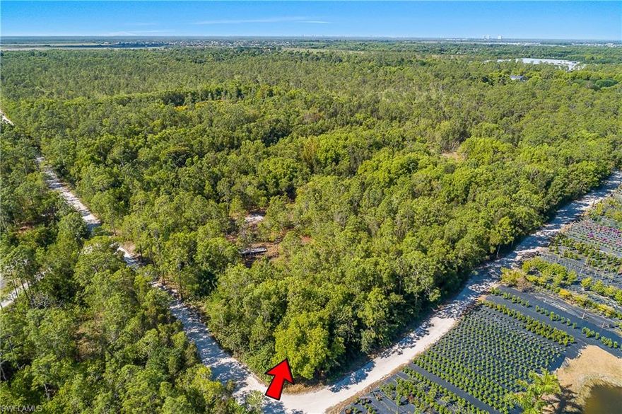 Discover the ideal location for your dream home on this private 2.5-acre lot in the 6L's community. The property is a perfect square—measuring 330 x 330 feet—with a mix of cleared areas and natural privacy, offering a versatile canvas for your development. Designed for well and septic systems, this lot ensures both independence and practicality. Equipped with a culvert and electricity already available in the neighborhood, this lot is ready to bring your vision to life.
Nestled near Marco Island and downtown Naples, you'll enjoy proximity to stunning beaches, vibrant dining, and shopping experiences. Conveniently located just 15 minutes from Collier and US41 and a short 11-minute drive to Shoppes at Fiddler's Creek—home to Publix and more—this property combines tranquil living with easy access to modern amenities.
The area is thriving with development, making it an excellent investment opportunity.