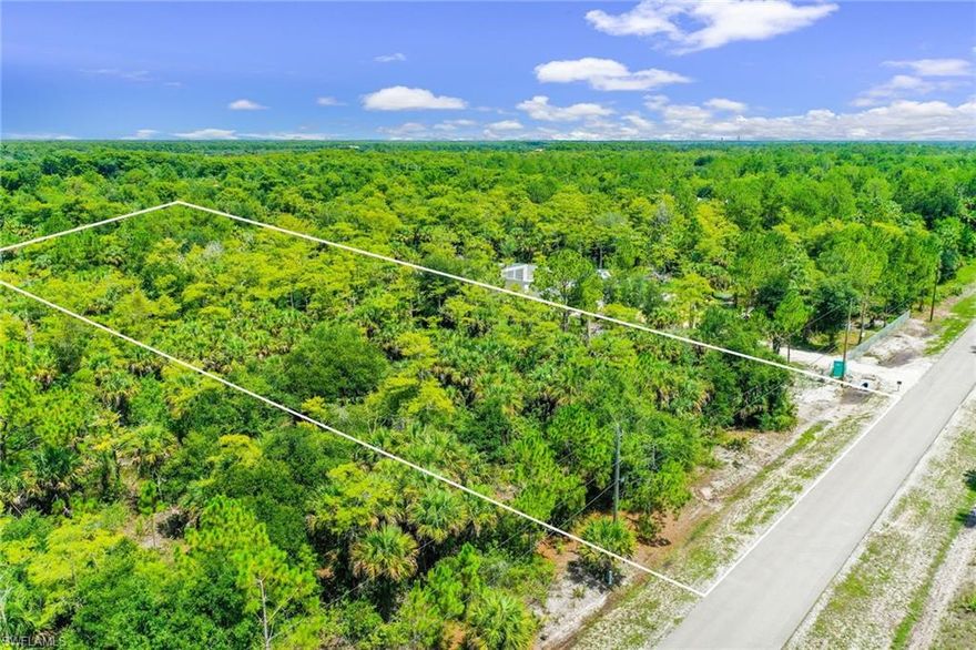 Don't wait! This is the perfect spot to build your dream home here! Highly sought after 2.73 acre lot in developing neighborhood with million dollar homes going up just next door! This area is quickly developing with massive improvements happening nearby! Excellent schools, privacy, NO HOA. Just minutes to the new Big Corkscrew Island Regional Park opening this summer with aquatic center, athletic fields, walking trails, dog parks and playgrounds. Founders square at Collier & Immokalee opening this year just minutes away, restaurant-retail hub, schools, hospital, churches, minutes to I-75 and Gulf beaches. Beautiful golfing communities nearby. This area is expected to become the next "Logan Woods" or "Oakes Estates" like neighborhood. Design your forever home and watch the value grow! Don't delay!