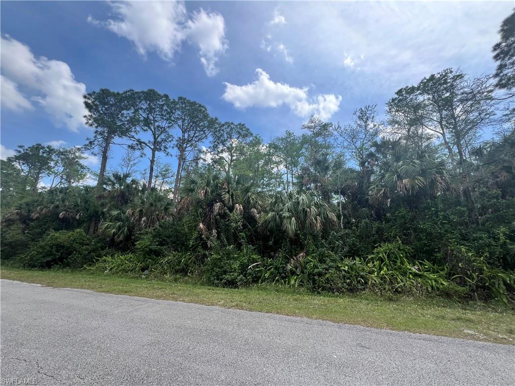 GOLDEN GATE ESTATES - Land