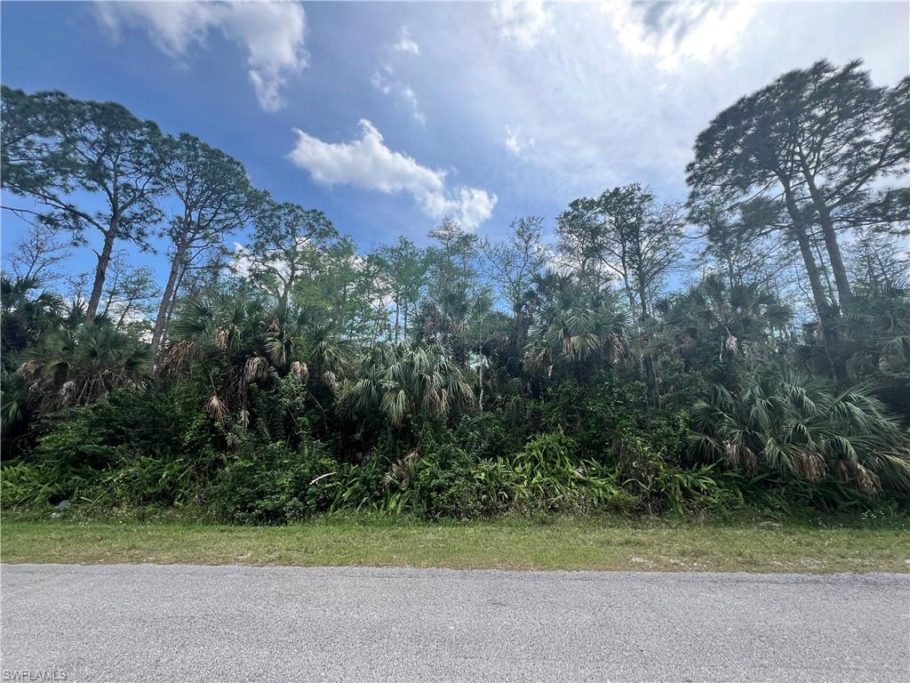 GOLDEN GATE ESTATES - Land