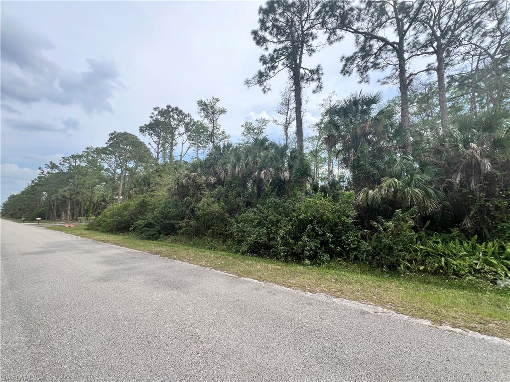 GOLDEN GATE ESTATES - Land