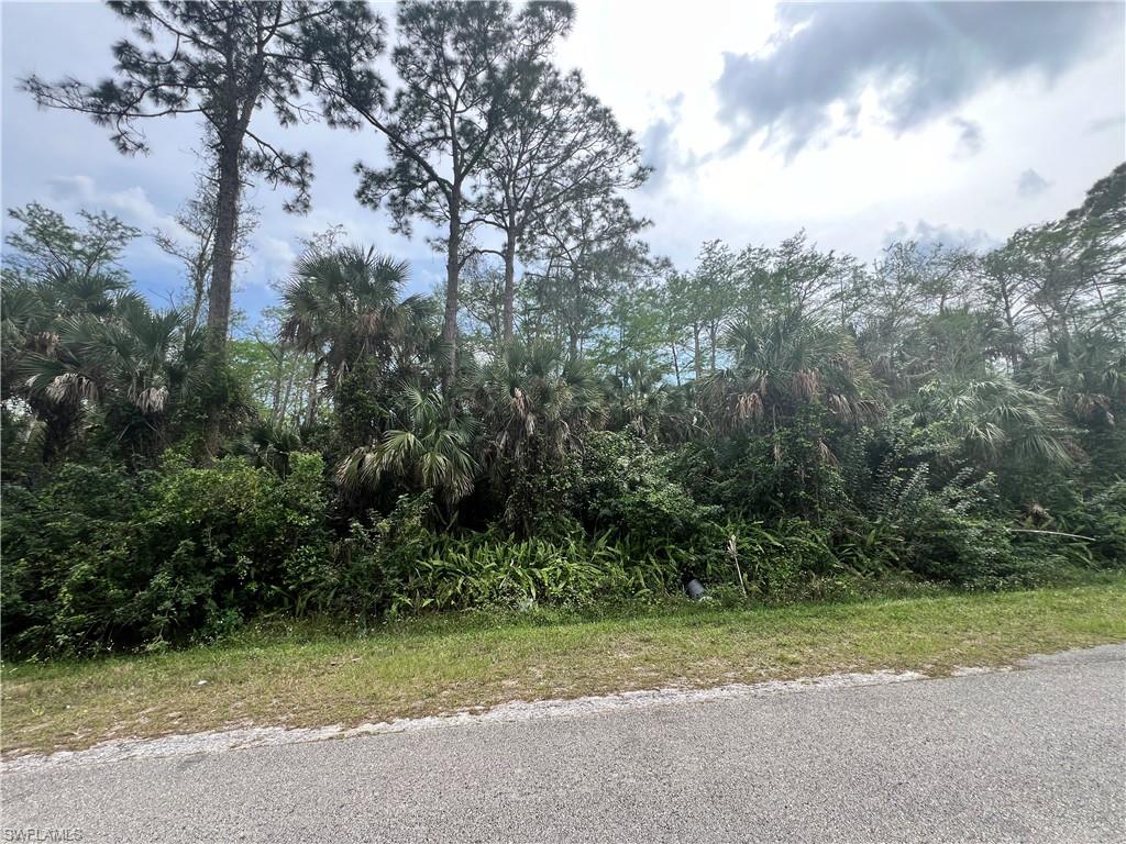 GOLDEN GATE ESTATES - Land