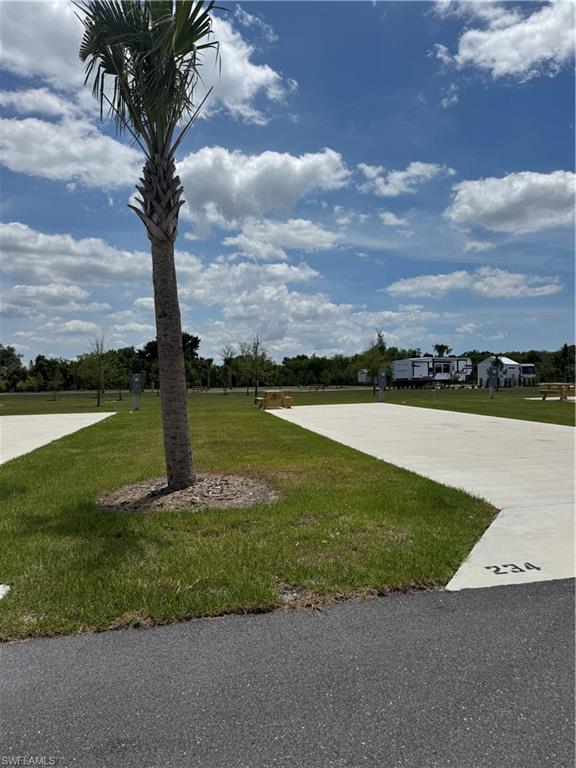 PALM BREEZE - Land
