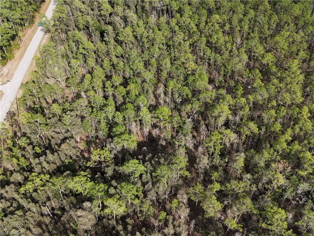 GOLDEN GATE ESTATES - Land