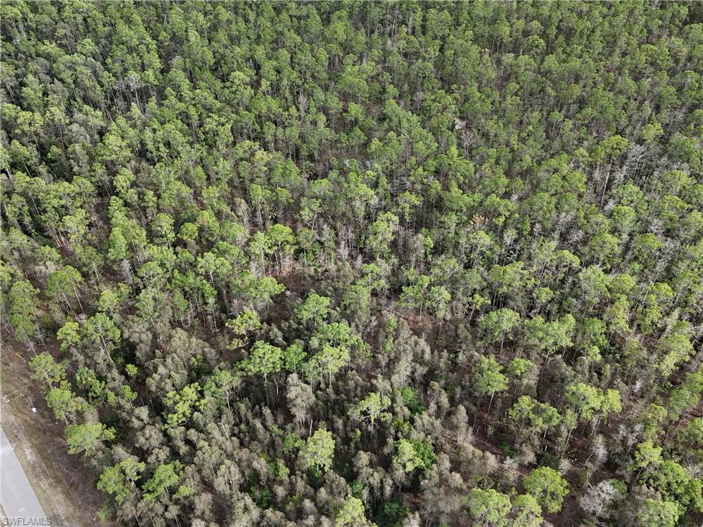 GOLDEN GATE ESTATES - Land