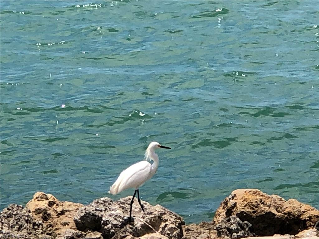 ISLES OF CAPRI - Residential