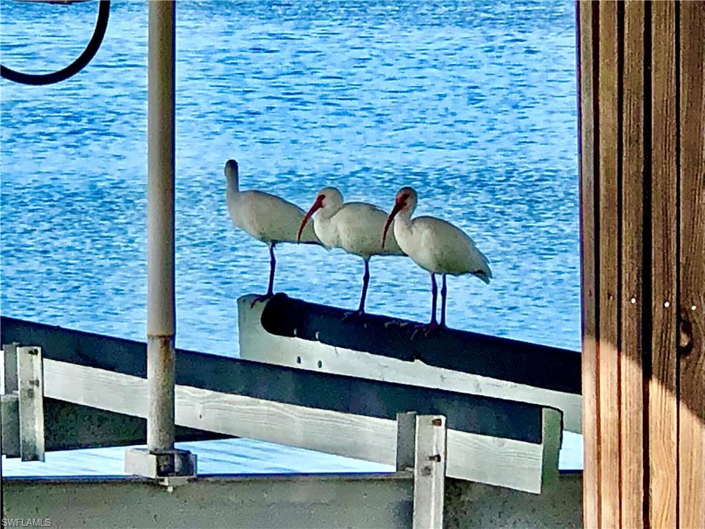 ISLES OF CAPRI - Residential